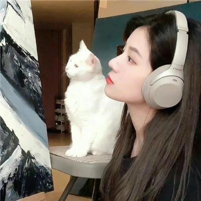 王牌继承者