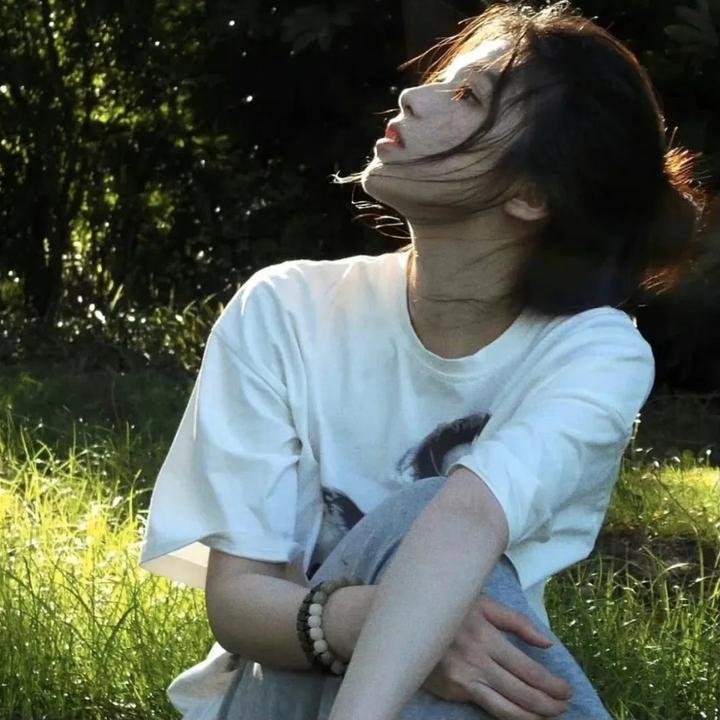 陈辰全明星